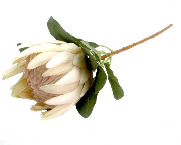 White Protea Artificial Flower