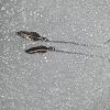 925 Sterling Silver Feather Threader Chain Earrings