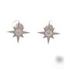 925 Sterling Silver Cubic Star Stud Earrings
